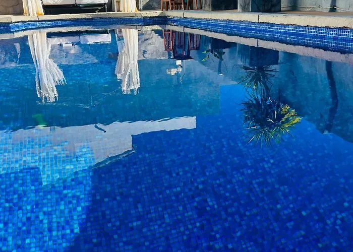 홈스테이 Problueidc